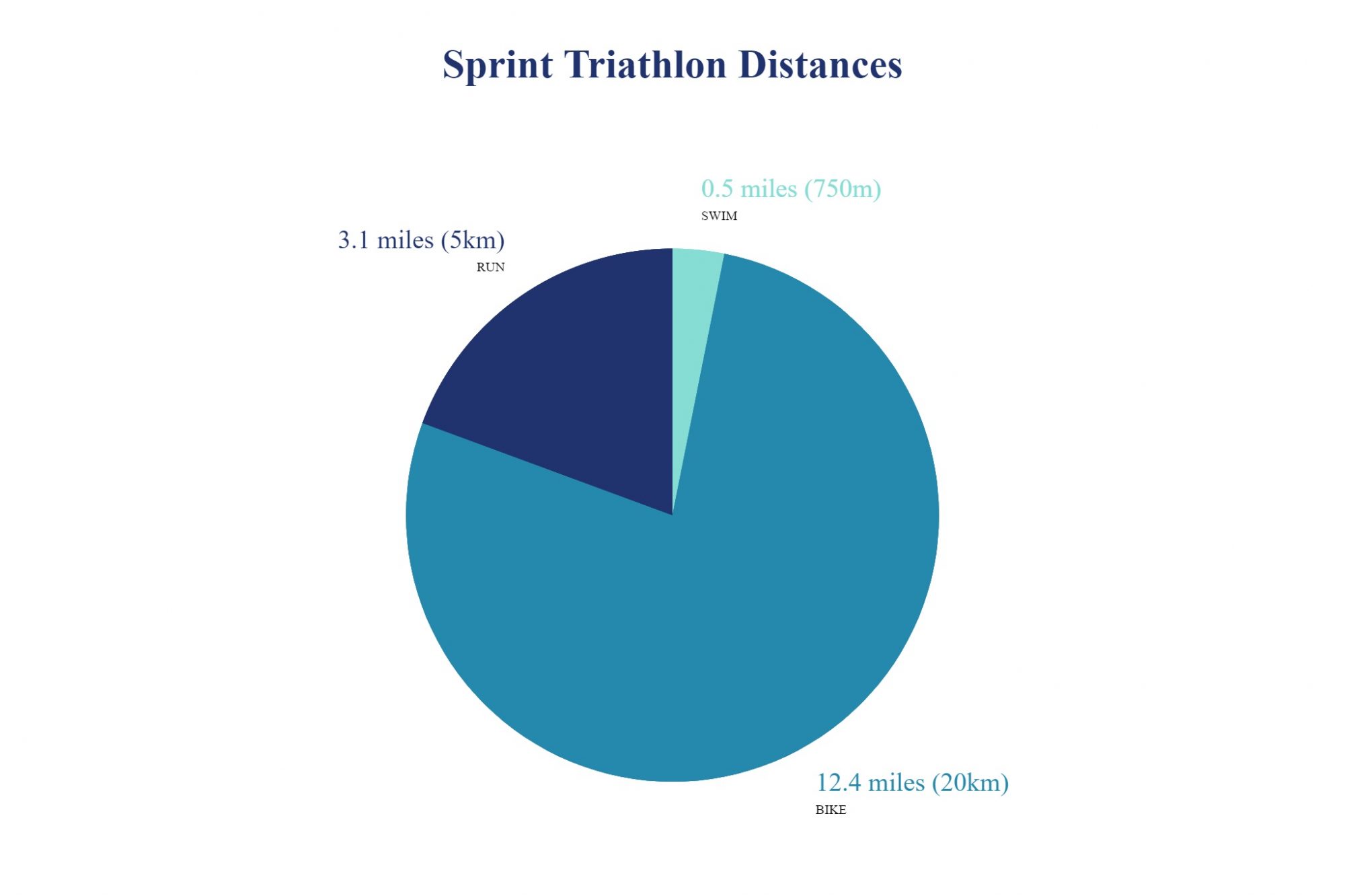 Sprint Triathlon Distances Miles Kilometers 